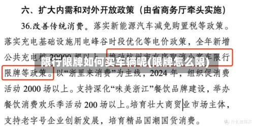限行限牌如何买车辆呢(限牌怎么限)