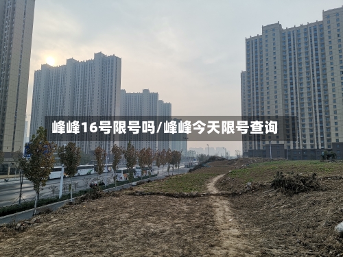 峰峰16号限号吗/峰峰今天限号查询