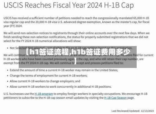 【h1签证流程,h1b签证费用多少】