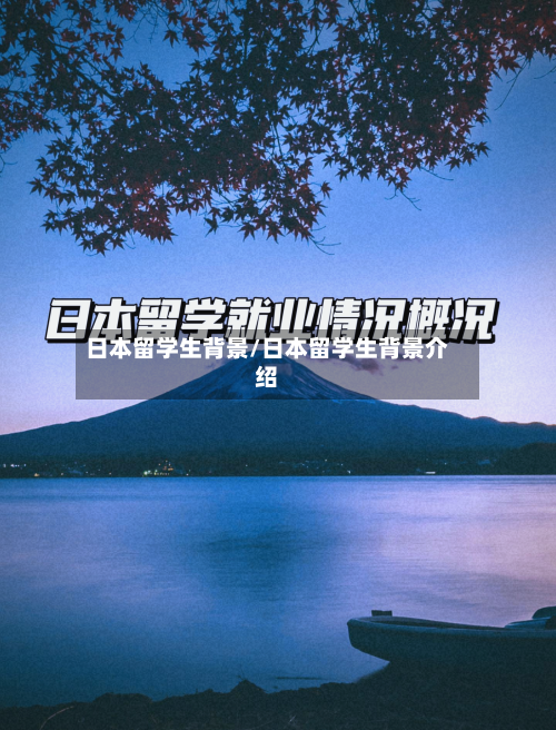 日本留学生背景/日本留学生背景介绍-第3张图片
