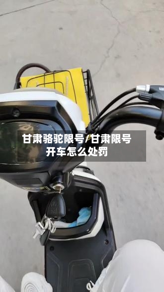 甘肃骆驼限号/甘肃限号开车怎么处罚-第3张图片