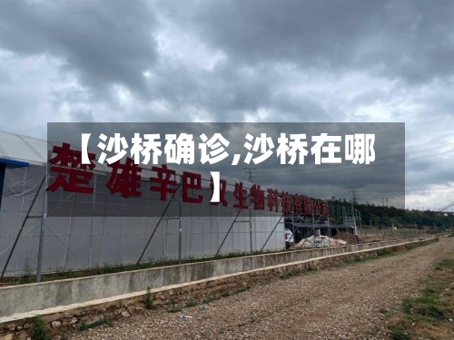 【沙桥确诊,沙桥在哪】-第2张图片