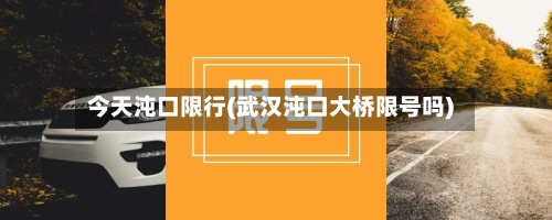 今天沌口限行(武汉沌口大桥限号吗)-第2张图片