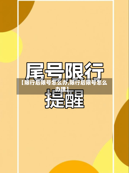 【限行后限号怎么办,限行后限号怎么办理】-第2张图片