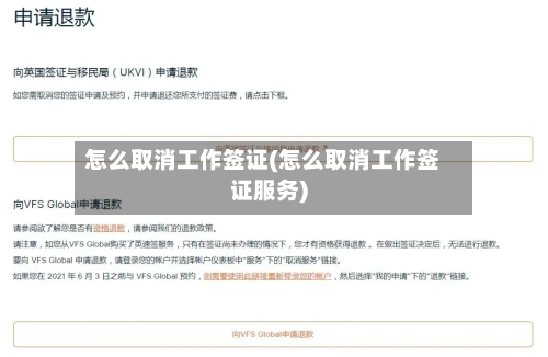 怎么取消工作签证(怎么取消工作签证服务)-第2张图片