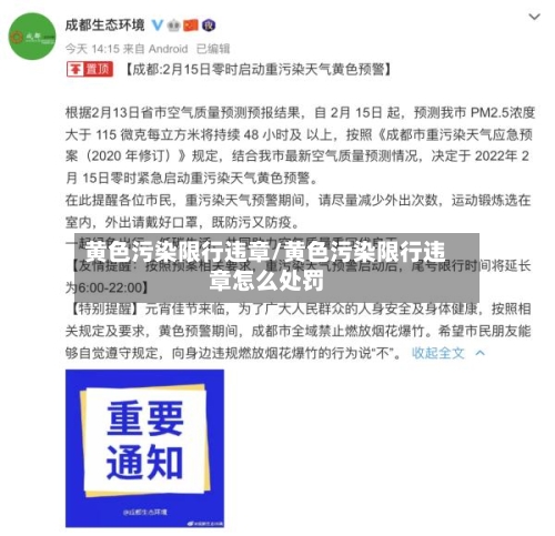 黄色污染限行违章/黄色污染限行违章怎么处罚