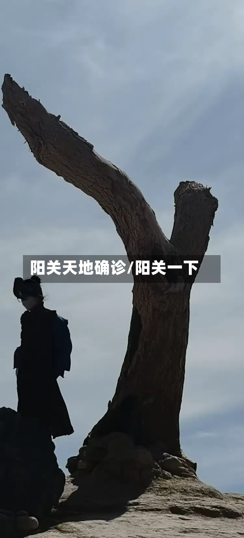 阳关天地确诊/阳关一下-第2张图片