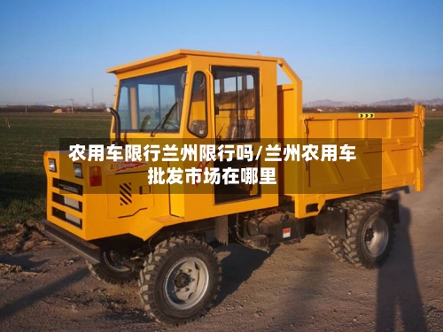 农用车限行兰州限行吗/兰州农用车批发市场在哪里-第3张图片