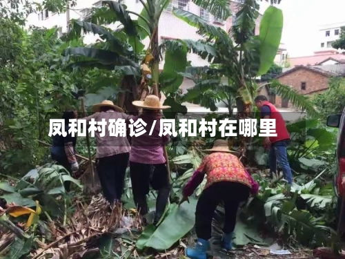 凤和村确诊/凤和村在哪里