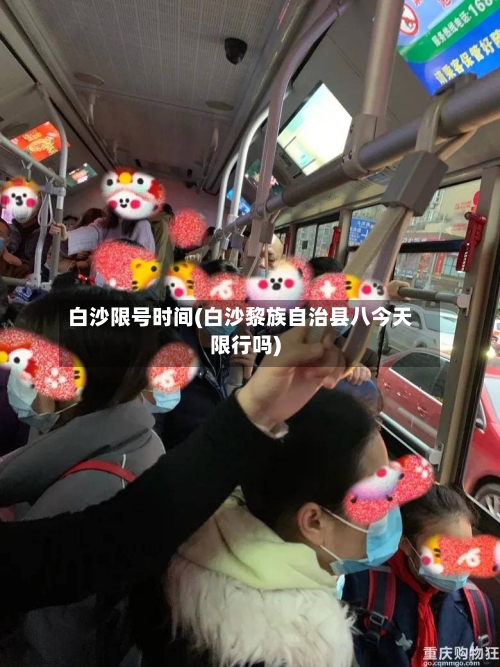 白沙限号时间(白沙黎族自治县八今天限行吗)-第2张图片