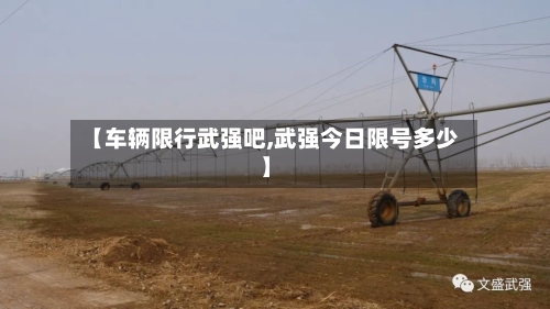 【车辆限行武强吧,武强今日限号多少】-第3张图片