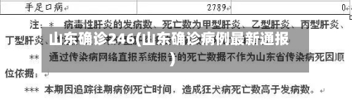 山东确诊246(山东确诊病例最新通报)-第2张图片