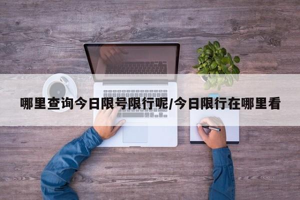 哪里查询今日限号限行呢/今日限行在哪里看
